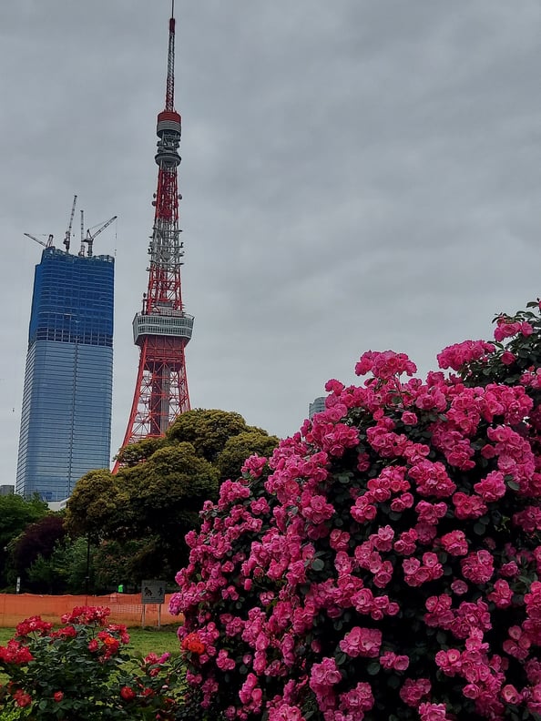 心身ともにリラックス♪ボディケア＆フットケアスッキリ