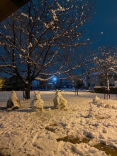本日の空き状況と雪遊び