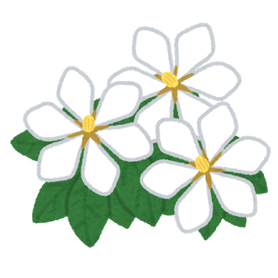 ★明日、6月7日(月)の空き情報★