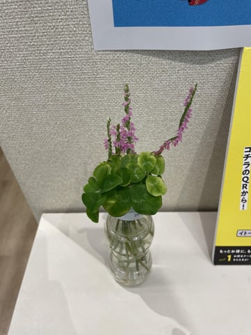 〈本日6/ 20空き状況〉