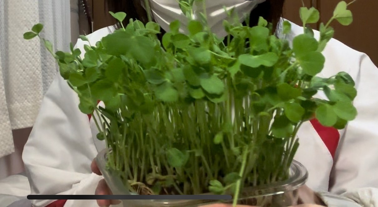 豆苗×嬉しい言葉=バイブスのブチ上げ