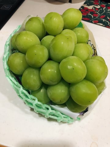 待ちに待ったシャインマスカット