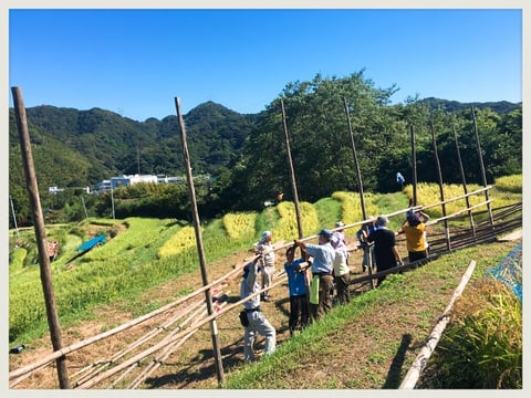 棚田体験記