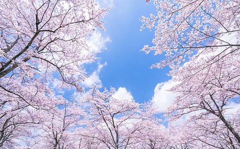 本日(4/14),午後の空き状況のお知らせ☆