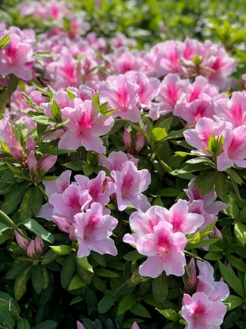 本日(４/２２)の空き状況のご案内です☆