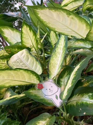 気分だけでも～summer～