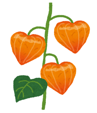 本日の空き状況【Re.Ra.Ku武蔵境店】