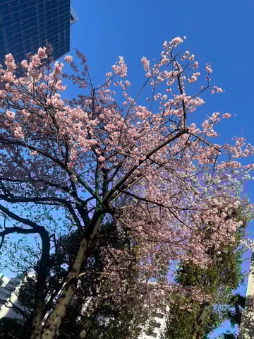 天王町駅付近のご紹介　④