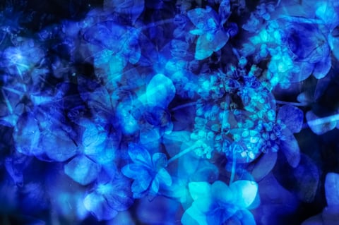 涼しい〜/三軒茶屋店