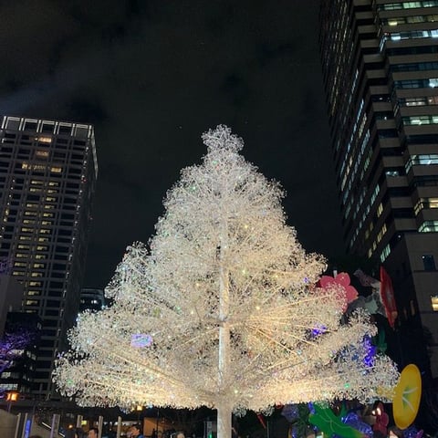 謎解き三昧　光が丘IMA店