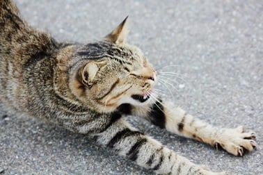 本日の玉学店＆空き時間のご案内です♪