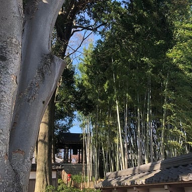 フィットネスブーム到来！？