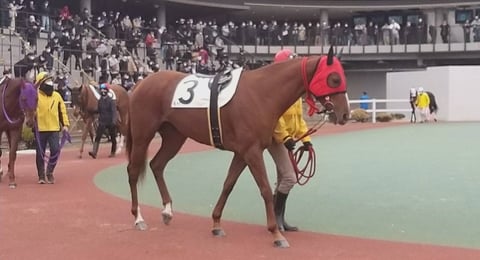 【Re.Ra.Ku　光が丘IMA店】馬