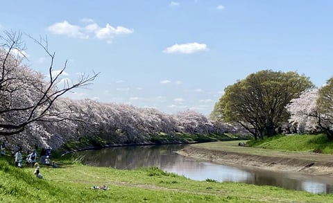 7月21日は何の日？