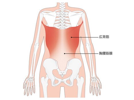 背中のストレッチ！リラク北浦和店