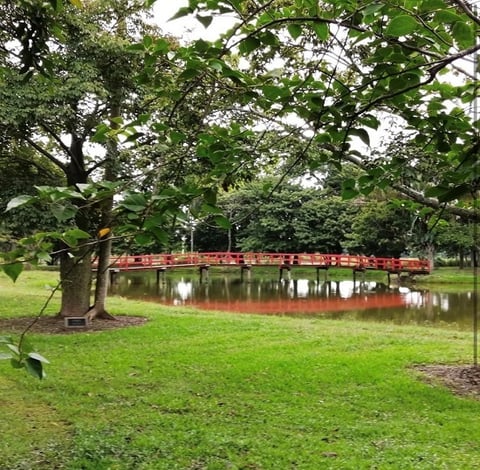 おばあちゃんのフェイスブック