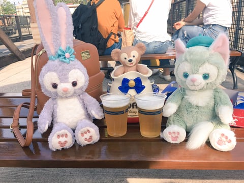 行ってきましたディズニーシー！