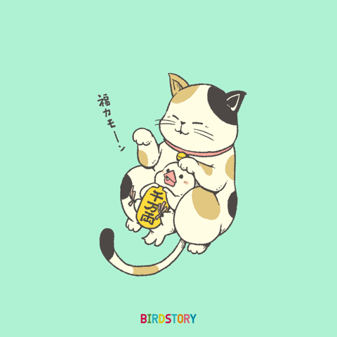 9/29(木)　🐈招き猫の日🐈