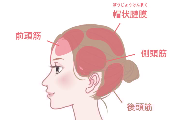 すっかり夏ですね