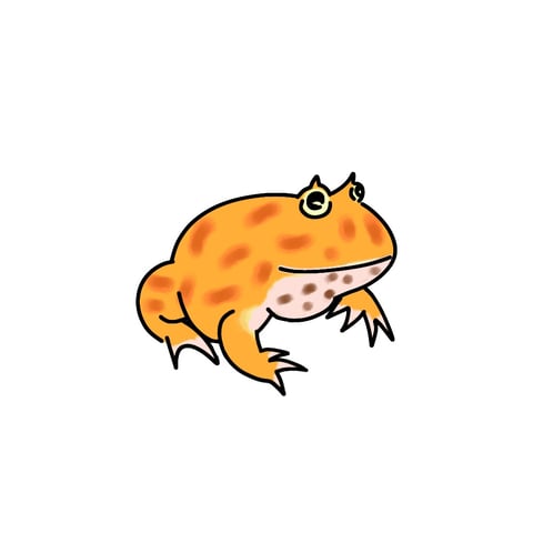 カエルさんのお話。