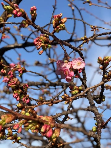 2/10（火）本日の空き情報♪【大宮西口店】