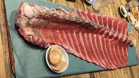 先日マグロマートに行ってきました！