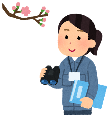 桜前線｜マッサージのように気持ちいい、肩甲骨ストレッチのリラク日本橋店【東京駅,日本橋駅,大手町駅,三越前駅すぐ】