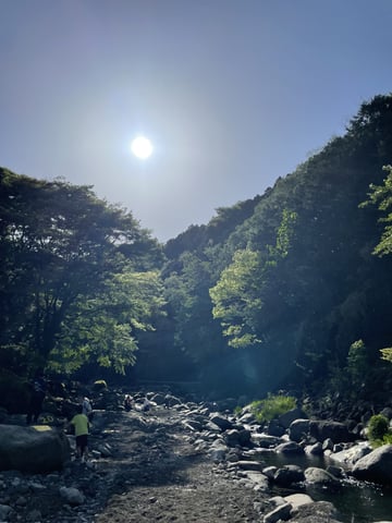 静けさに身を置くと