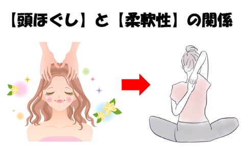 【頭をほぐす】ことと【体の柔軟性】の関係