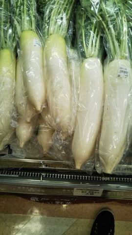 今日の○○ ～part2～