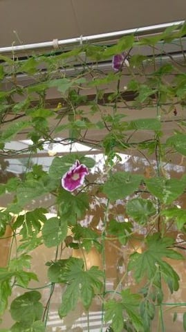 もうすぐ春……