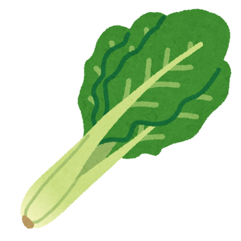 冷え改善にもってこいの冬野菜!