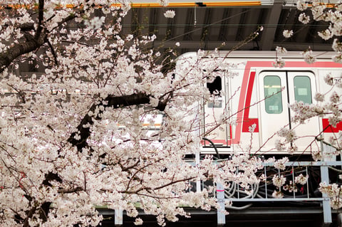 【大井町駅前店】3月13日(金）の空き状況のお知らせ