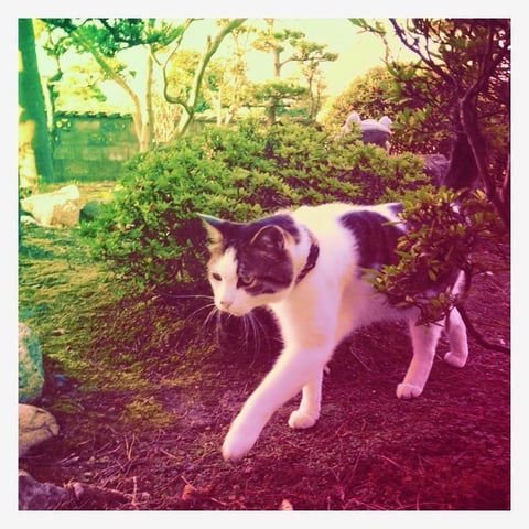 ゆったりリラックス ^^) _旦~~