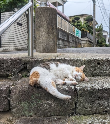 7月16日は何の日？