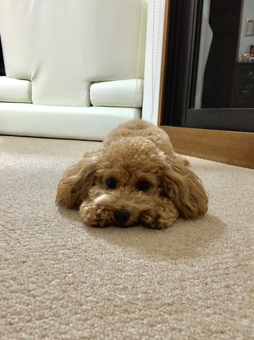 初めまして大塚です！