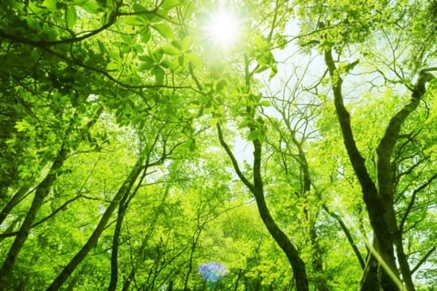 暑さに負けないお体作り