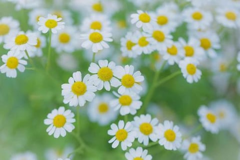 期間限定のコースのご紹介