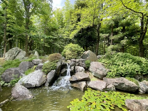 グリーンエクササイズ2