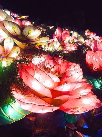 伊豆にいこーず！！