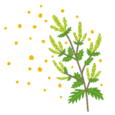 【Re.Ra.Ku Echika表参道店】実践花粉症対策☆