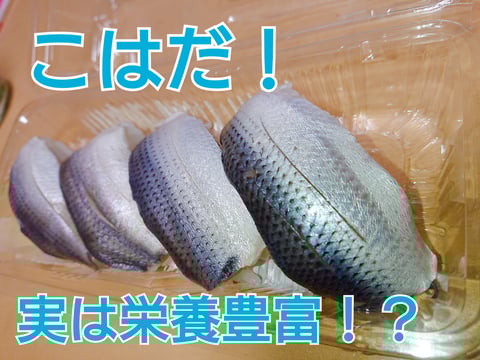 出世魚！縁起物コハダについて！