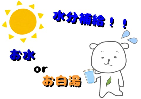 水分補給は水？白湯？