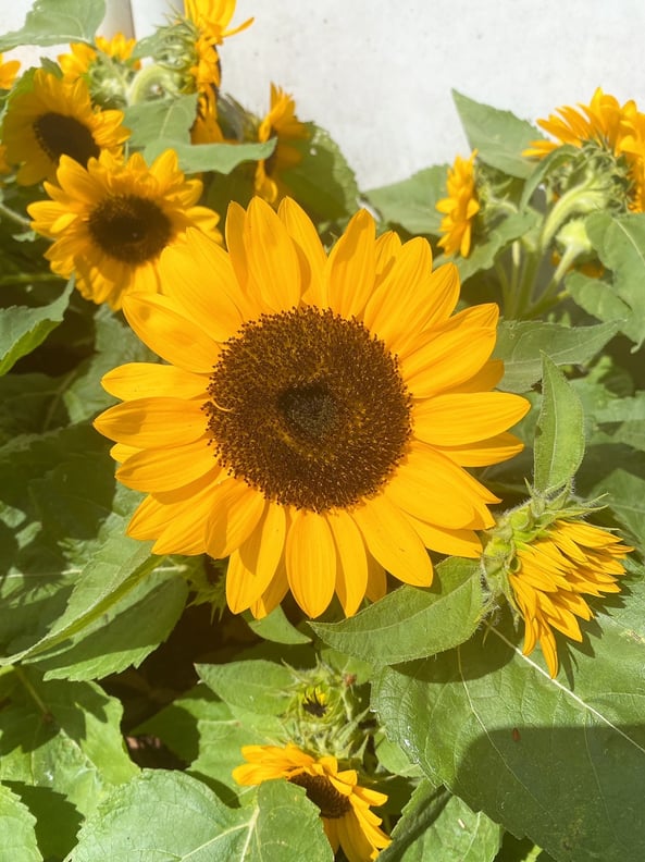 本日の空き情報◎