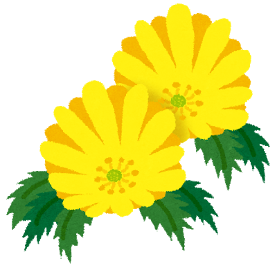 本日の誕生花は？