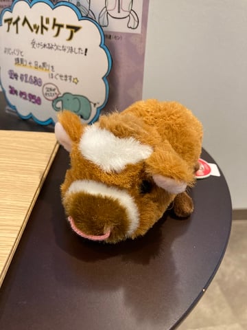 当店の癒し担当