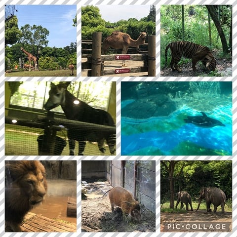 こんどはズーラシア