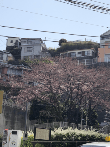 本日（3/27）の空き状況のご案内☆
