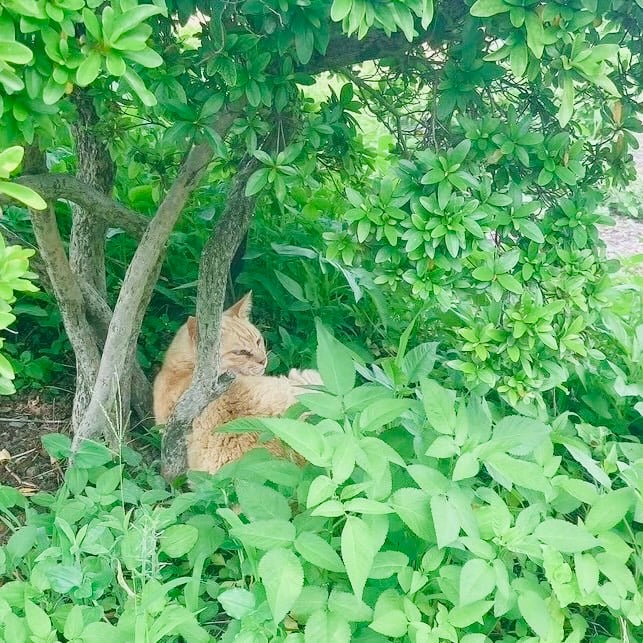 日差しをよけてのんびりと♪