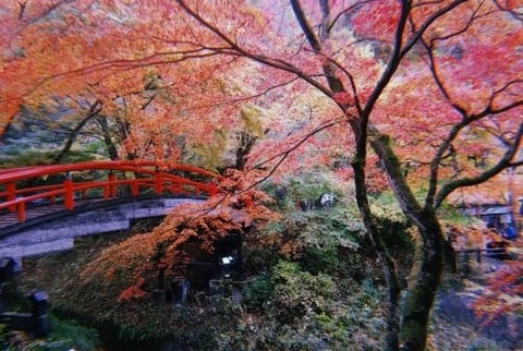 秋感じてきました。